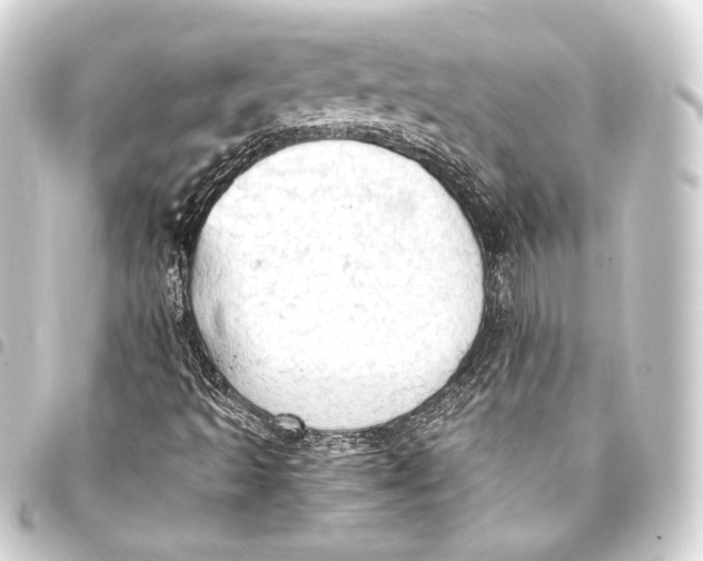 X0000093411493200711020944