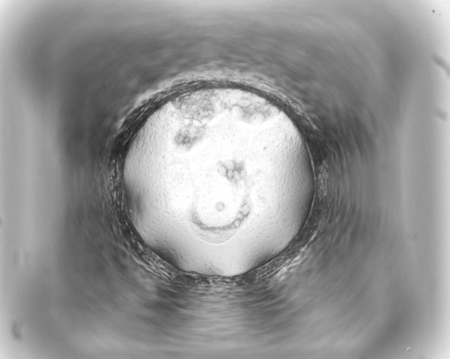 X0000093411494200711020944