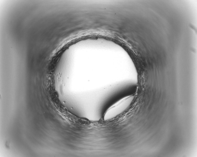 X0000093411496200711020944