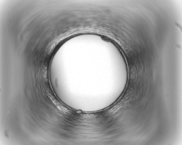 X0000093411499200711020944