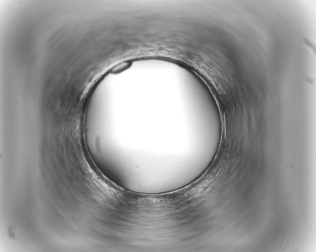 X0000093411500200711020944