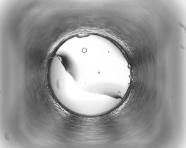 X0000093411502200711020944