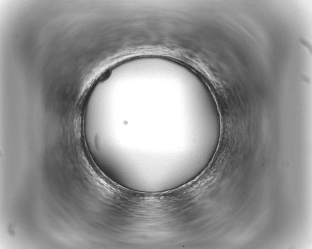 X0000093411504200711020944