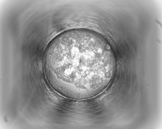 X0000093411505200711020944