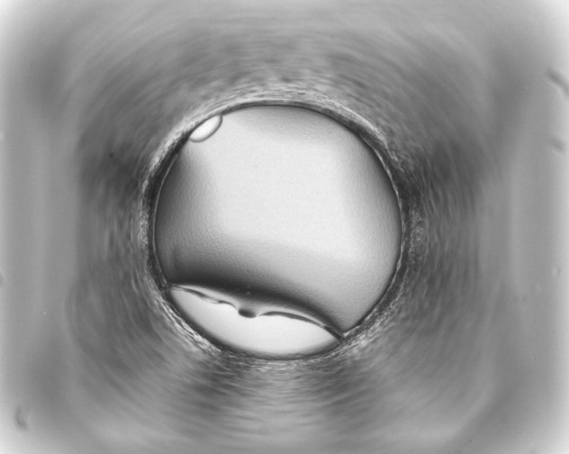 X0000093411506200711020944