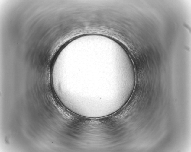 X0000093411507200711020944