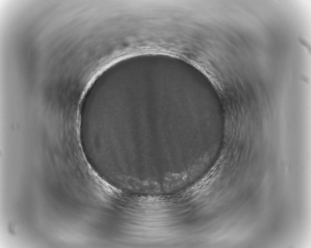 X0000093411508200711020944