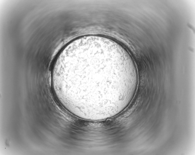 X0000093411509200711020944