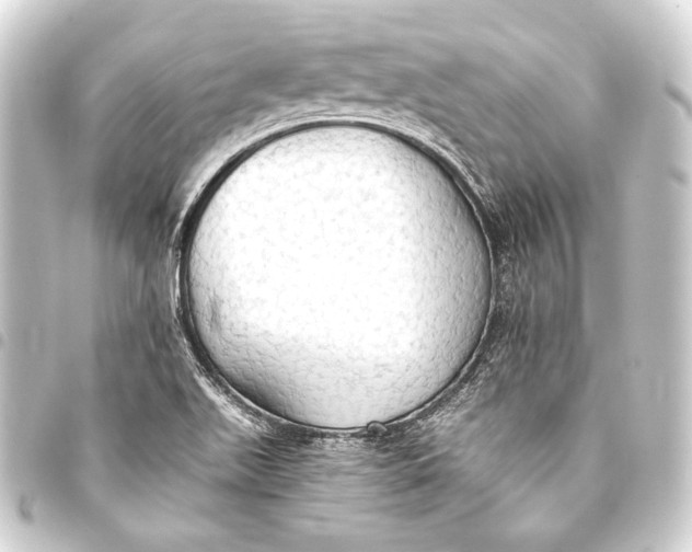 X0000093411511200711020944