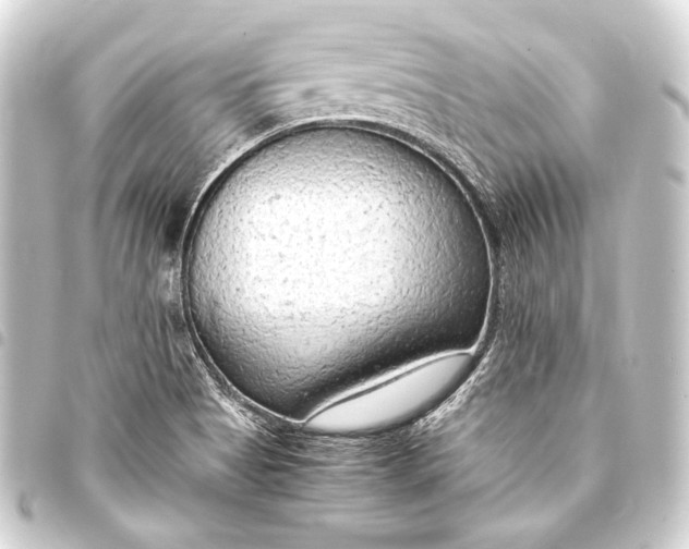 X0000093411513200711020944