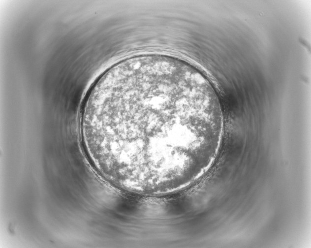 X0000093411514200711020944