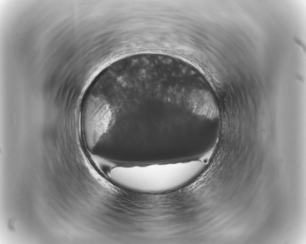 X0000093411515200711020944