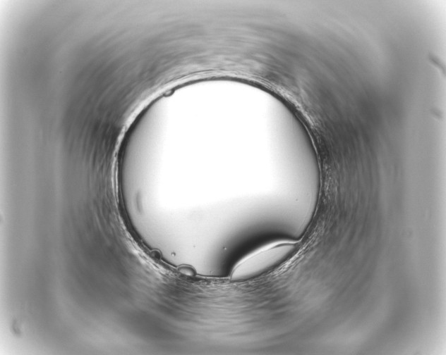 X0000093411516200711020944