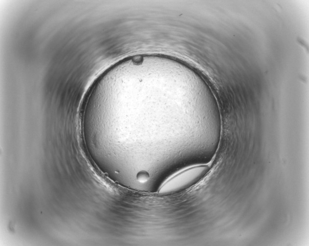 X0000093411517200711020944