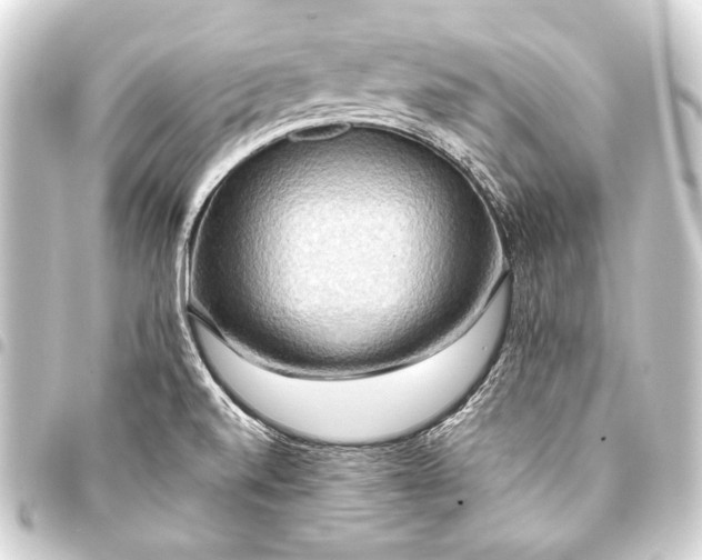 X0000093411520200711020944