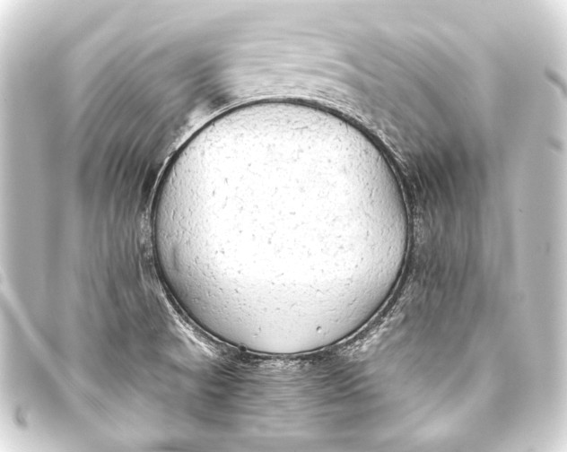 X0000093411521200711020944