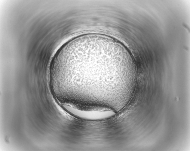 X0000093411523200711020944