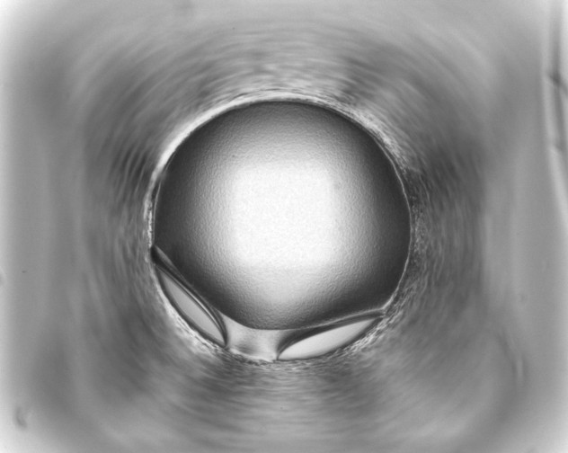 X0000093411524200711020944