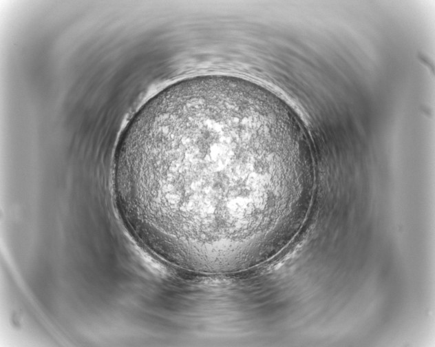 X0000093411525200711020944