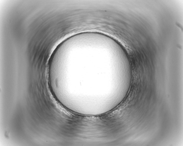 X0000093411526200711020944