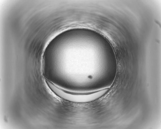 X0000093411528200711020944