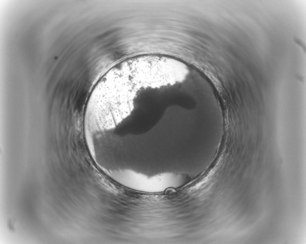 X0000093411529200711020944