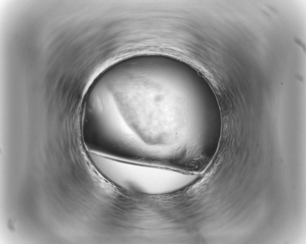 X0000093411530200711020944