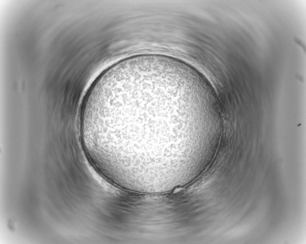 X0000093411531200711020945