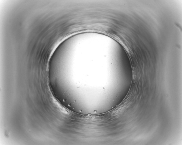 X0000093411532200711020945