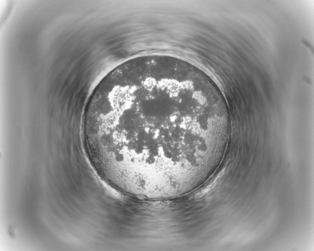 X0000093411533200711020945