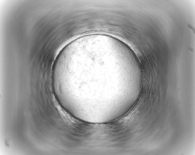 X0000093411534200711020945