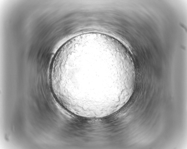 X0000093411535200711020945