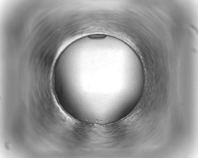 X0000093411536200711020945