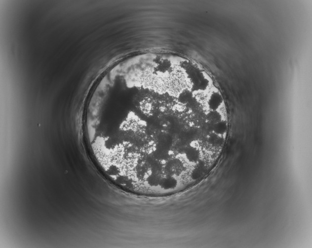 X0000093410002200711091407