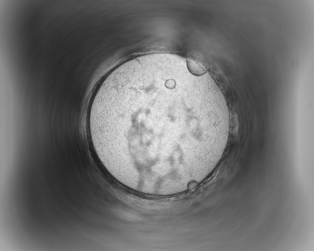 X0000093410004200711091407