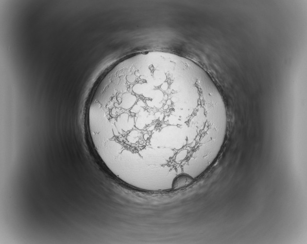 X0000093410006200711091407