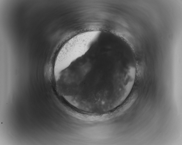 X0000093410016200711091407