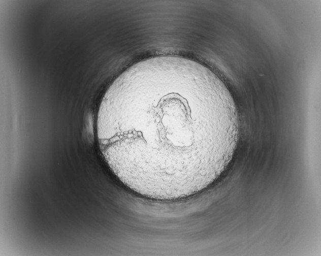 X0000093410022200711091407