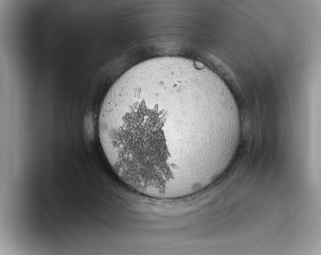 X0000093410026200711091407