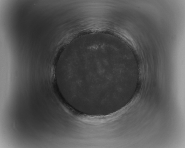 X0000093410029200711091407