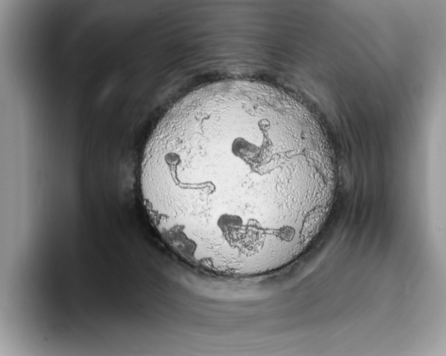 X0000093410032200711091407