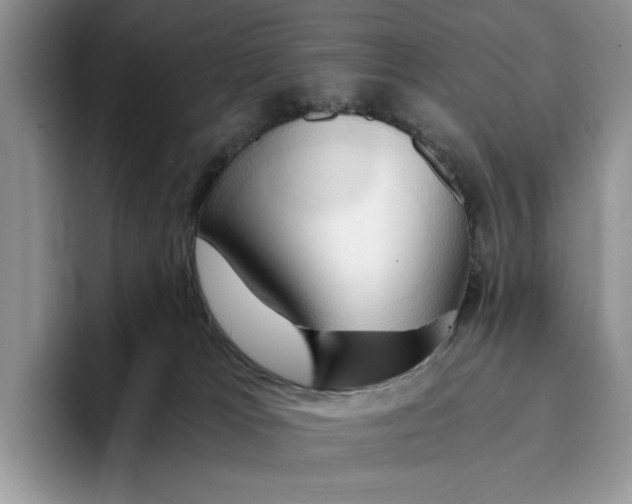 X0000093410037200711091407