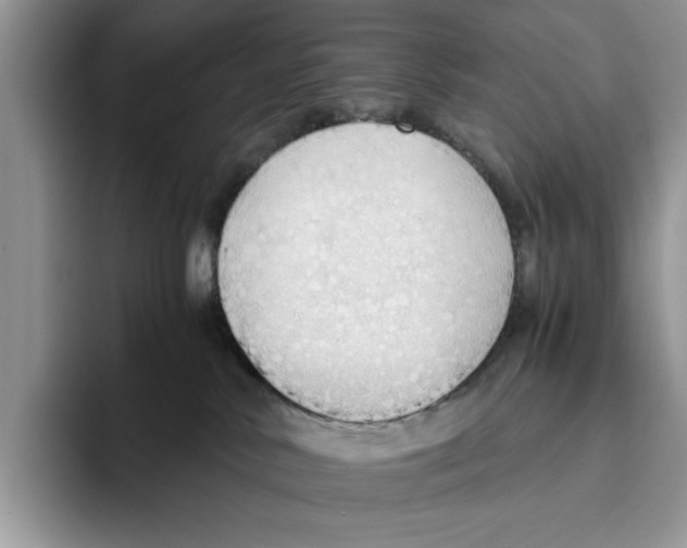 X0000093410042200711091407