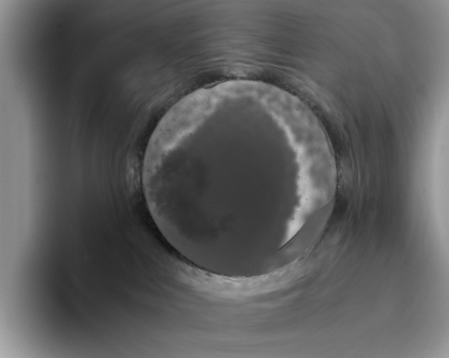 X0000093410043200711091407