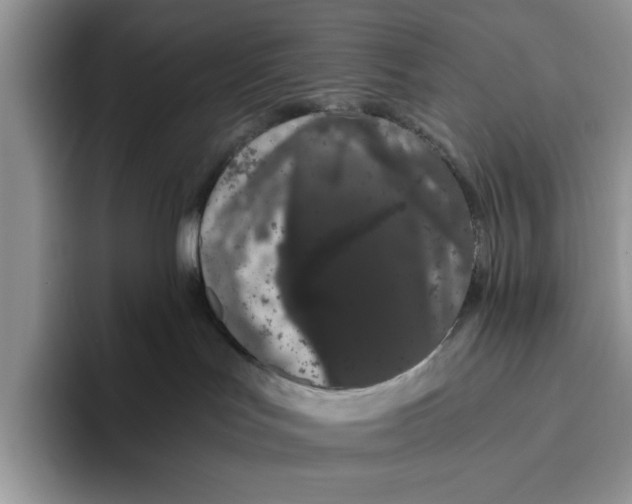 X0000093410047200711091407