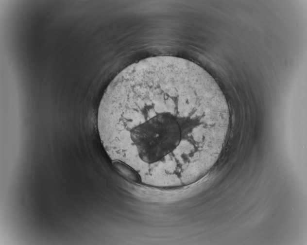 X0000093410048200711091407