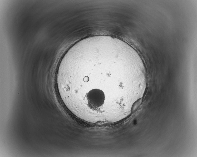 X0000093410049200711091406