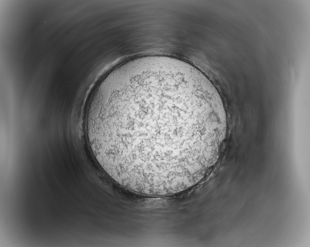 X0000093410050200711091406