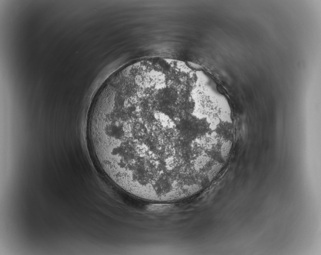 X0000093410051200711091406