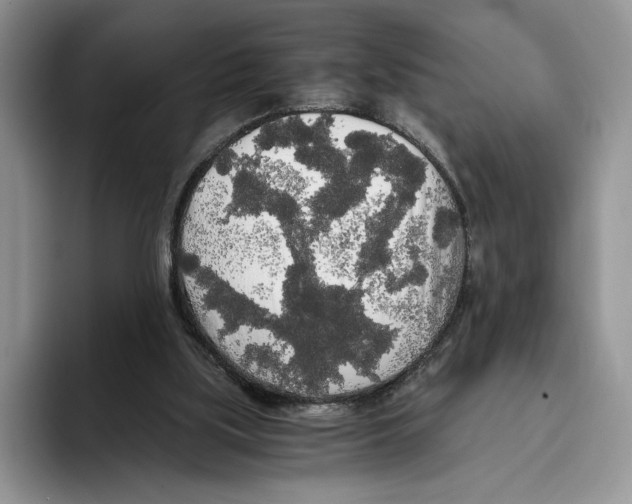 X0000093410059200711091406